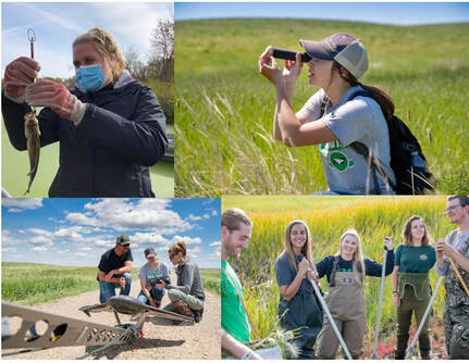 UND fisheries and wildlife students in the field doing research
