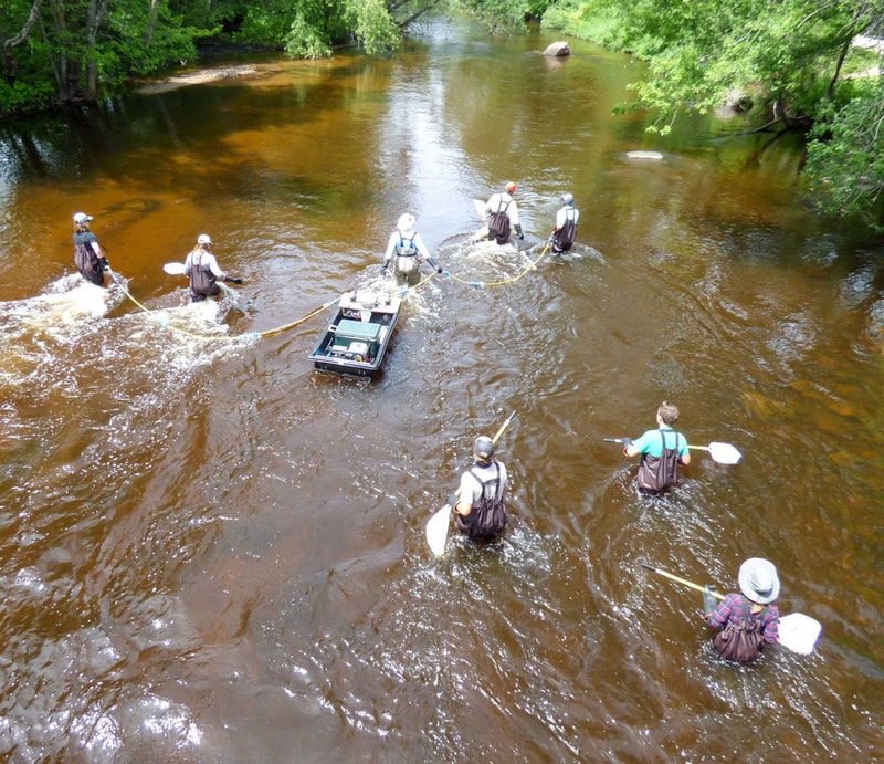 UW-SP Students wading in the water by a boat holding nets wearing waders
